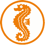 Schwimmabzeichen